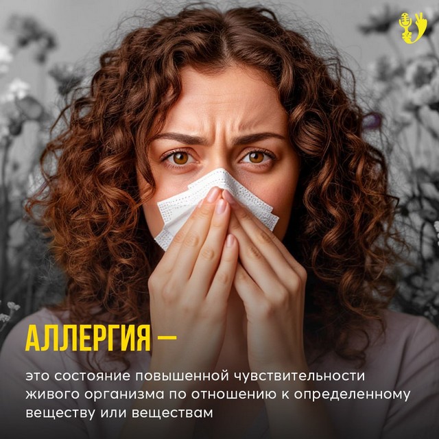 foto 2025 07 07 11 33 001