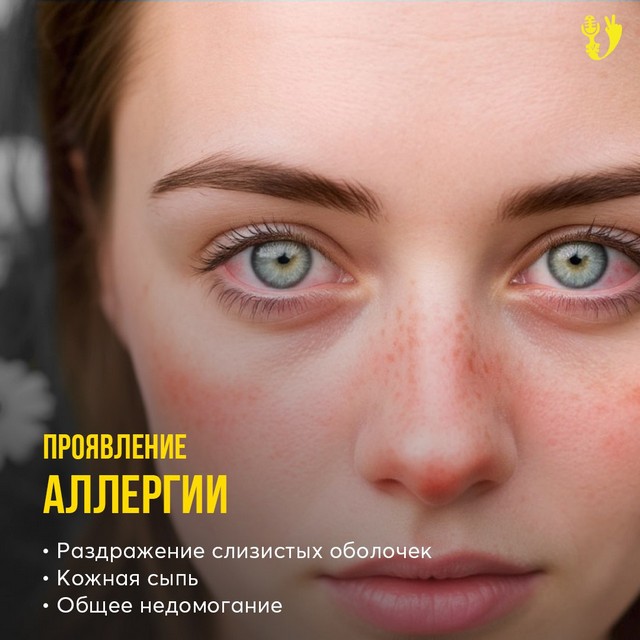 foto 2025 07 07 11 33 002