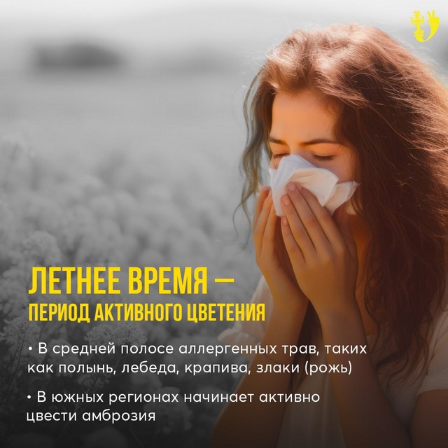 foto 2025 07 07 11 33 004
