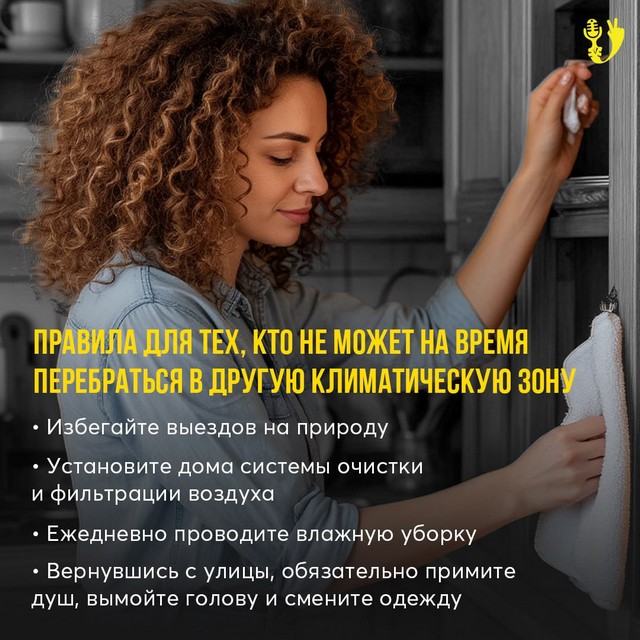 foto 2025 07 07 11 33 005
