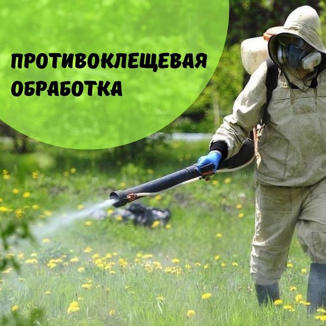 foto 2025 07 10 10 22 001