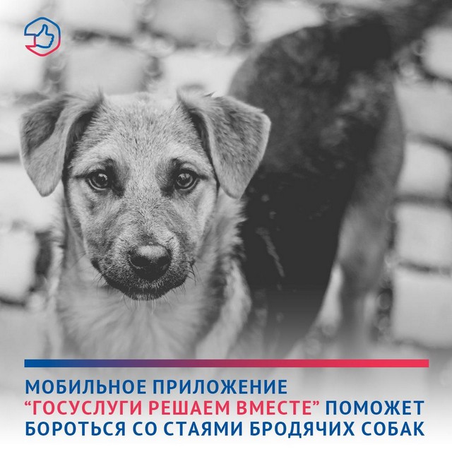 foto 2025 05 22 11 01 001