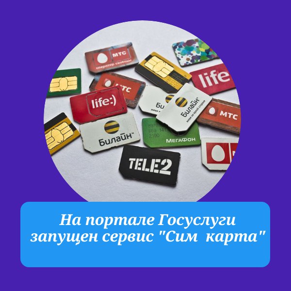 foto 2025 05 29 13 15 001