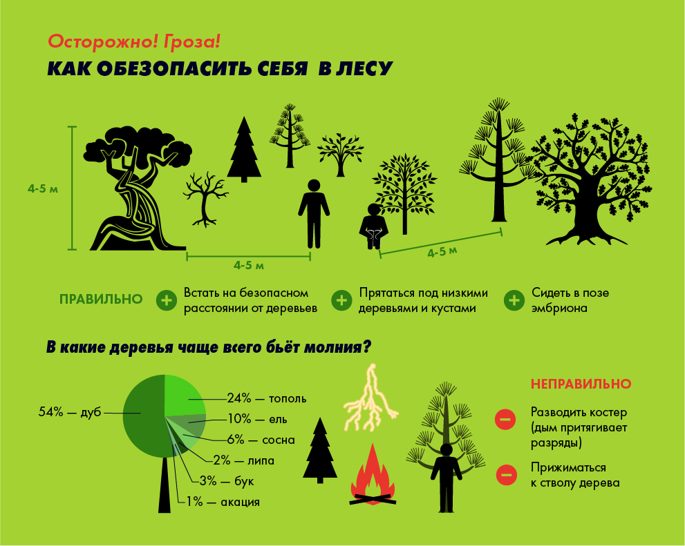 Как-обезопасить-себя-от-грозы-в-лесу.jpg